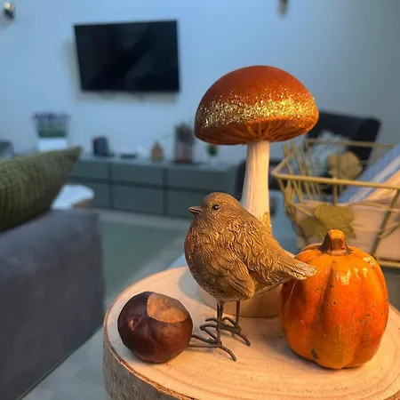 Mon Havre De Paix * Wolxheim