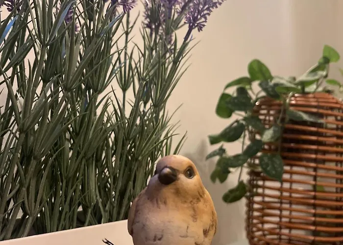 Mon Havre De Paix Wolxheim