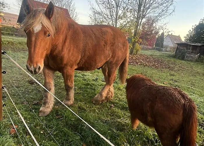 Nyaraló Mon Havre De Paix Wolxheim